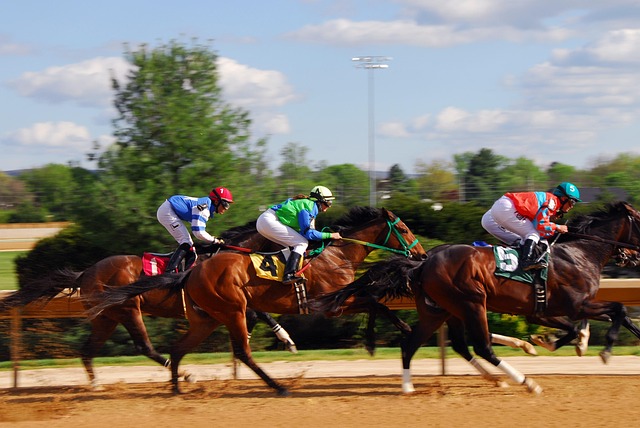 Gallopvæddeløb i praksis for begyndere og nysgerrige